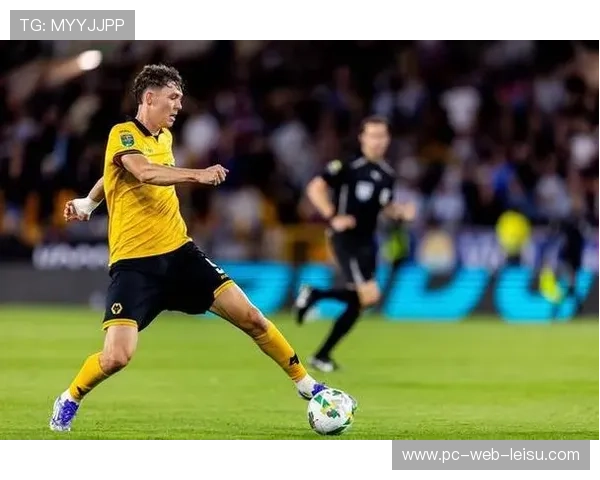 狼队冬窗净收入4870万镑，拉尔森4970万转投水晶宫